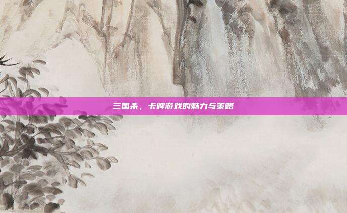 三国杀,卡牌游戏的魅力与策略
