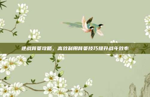 逆战背篓攻略,高效利用背篓技巧提升战斗效率