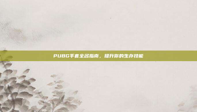 PUBG手套全名指南,提升你的生存技能