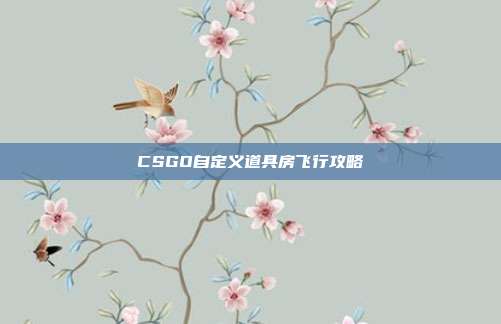 CSGO自定义道具房飞行攻略