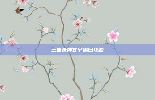 三国杀神甘宁黑白攻略