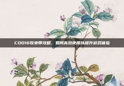 COD16收束带攻略，如何高效使用以提升游戏体验
