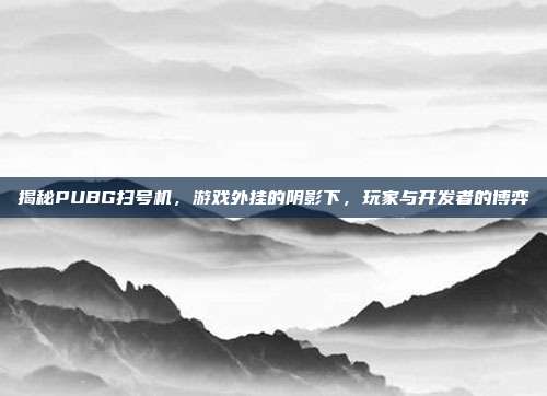揭秘PUBG扫号机，游戏外挂的阴影下，玩家与开发者的博弈