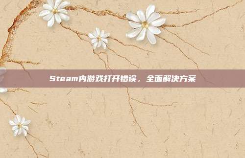 Steam内游戏打开错误，全面解决方案
