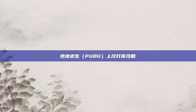 绝地求生（PUBG）上次打折攻略