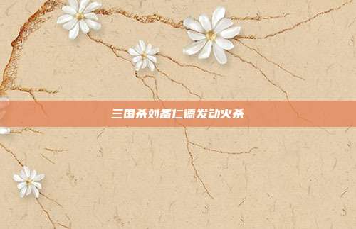 三国杀刘备仁德发动火杀