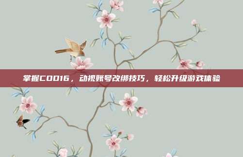 掌握COD16，动视账号改绑技巧，轻松升级游戏体验