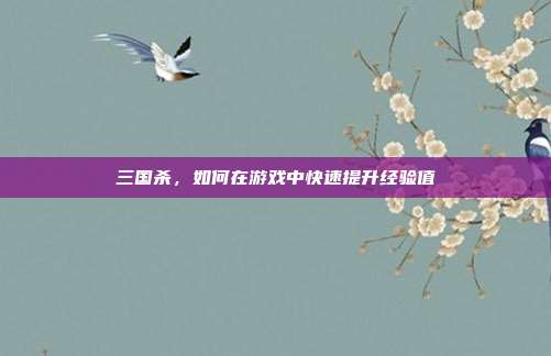 三国杀，如何在游戏中快速提升经验值