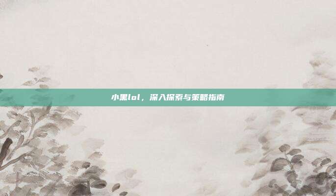 小黑lol，深入探索与策略指南