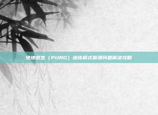 绝地求生（PUBG）训练模式崩溃问题解决攻略