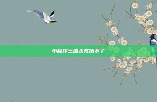小程序三国杀充值不了