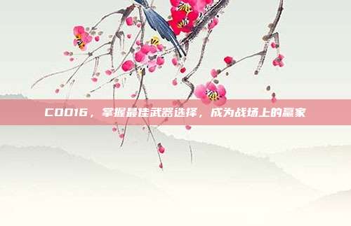 COD16，掌握最佳武器选择，成为战场上的赢家