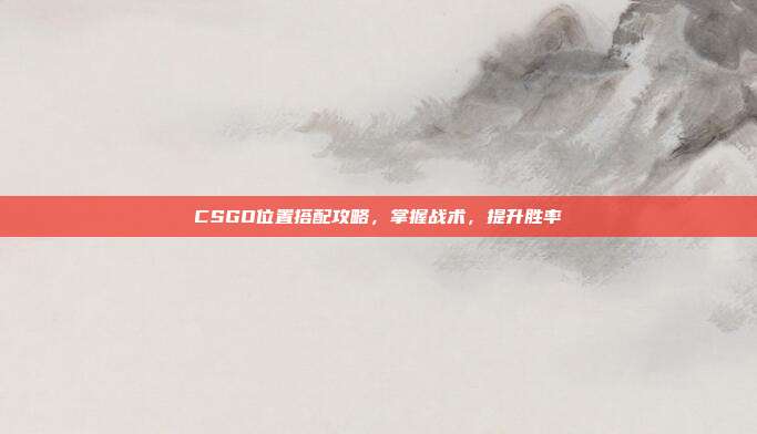 CSGO位置搭配攻略，掌握战术，提升胜率
