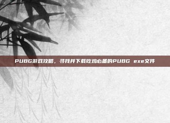 PUBG游戏攻略，寻找并下载吃鸡必备的PUBG exe文件