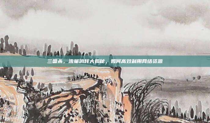 三国杀，流量消耗大揭秘，如何高效利用网络资源