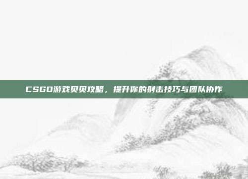 CSGO游戏贝贝攻略，提升你的射击技巧与团队协作