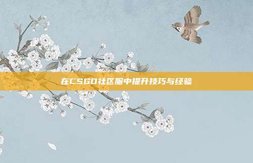 在CSGO社区服中提升技巧与经验