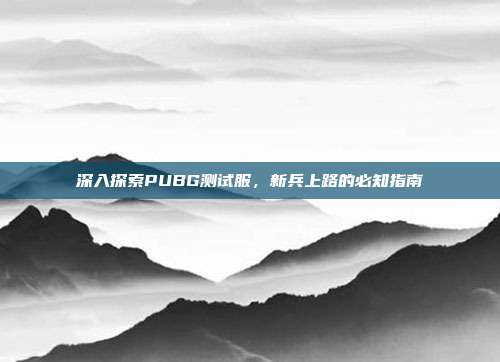 深入探索PUBG测试服，新兵上路的必知指南