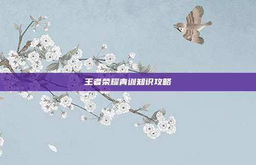 王者荣耀青训知识攻略