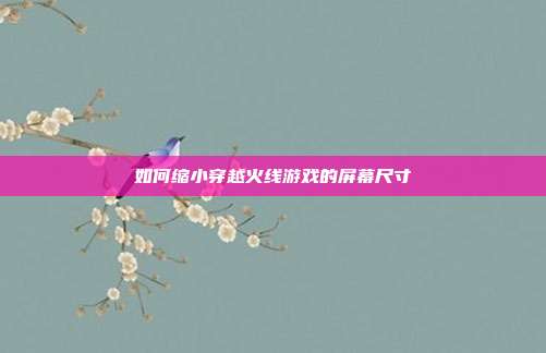 如何缩小穿越火线游戏的屏幕尺寸