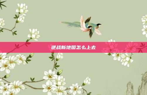 逆战新地图怎么上去