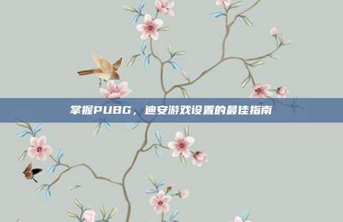 掌握PUBG，迪安游戏设置的最佳指南