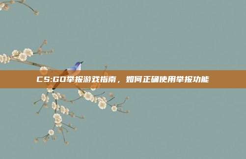 CS:GO举报游戏指南，如何正确使用举报功能
