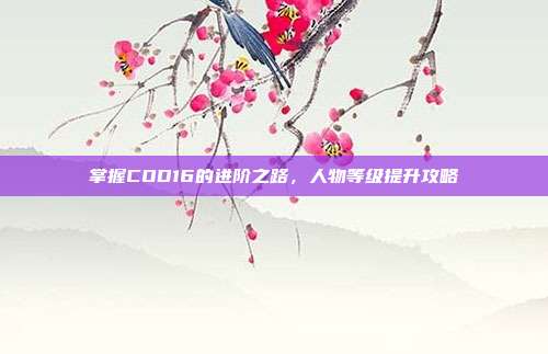 掌握COD16的进阶之路，人物等级提升攻略