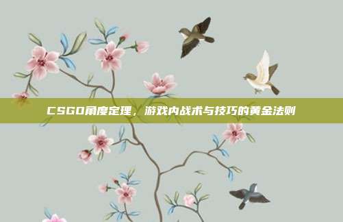 CSGO角度定理，游戏内战术与技巧的黄金法则