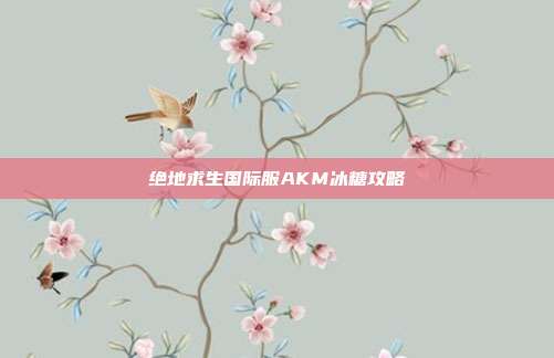 绝地求生国际服AKM冰糖攻略
