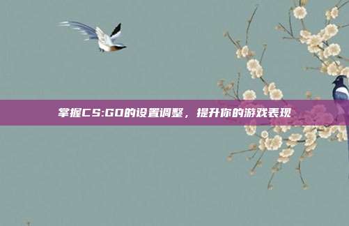 掌握CS:GO的设置调整，提升你的游戏表现