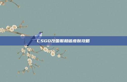 CSGO改国服和谐皮肤攻略