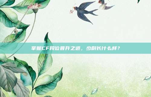 掌握CF段位晋升之道，少尉长什么样？