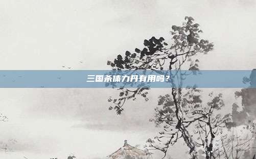 三国杀体力丹有用吗?