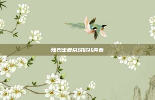 辣鸡王者荣耀毁我青春
