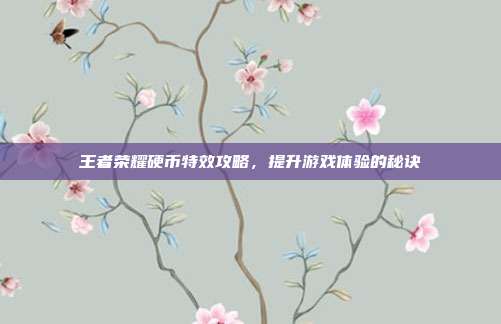 王者荣耀硬币特效攻略，提升游戏体验的秘诀