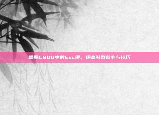 掌握CSGO中的Esc键,提高游戏效率与技巧