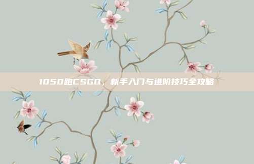 1050跑CSGO,新手入门与进阶技巧全攻略