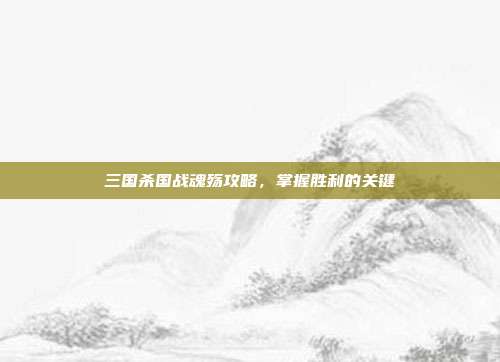三国杀国战魂殇攻略,掌握胜利的关键