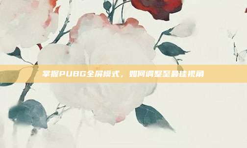 掌握PUBG全屏模式，如何调整至最佳视角