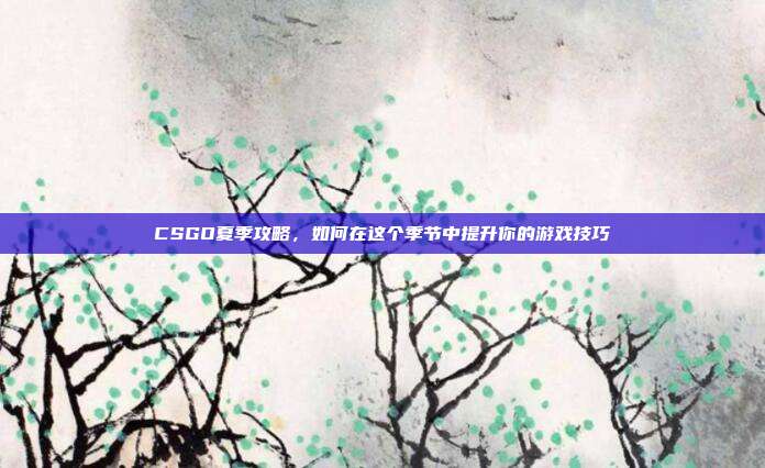 CSGO夏季攻略,如何在这个季节中提升你的游戏技巧