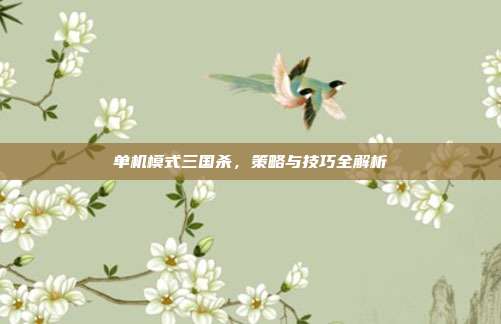 单机模式三国杀,策略与技巧全解析