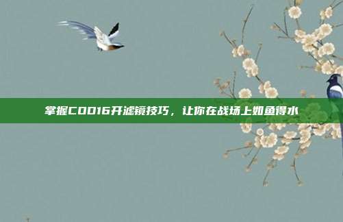 掌握COD16开滤镜技巧，让你在战场上如鱼得水