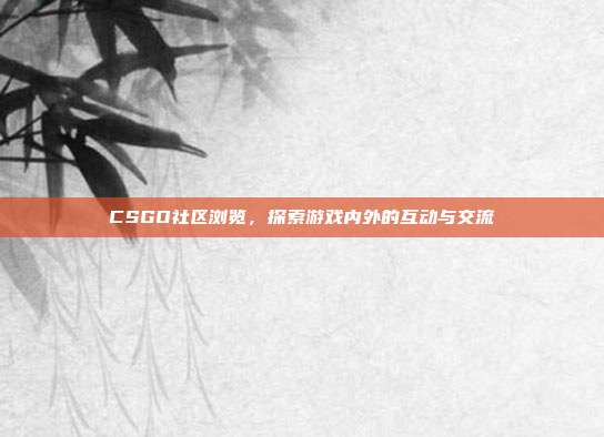 CSGO社区浏览,探索游戏内外的互动与交流
