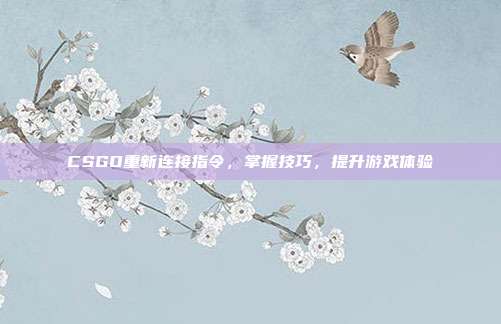 CSGO重新连接指令,掌握技巧,提升游戏体验