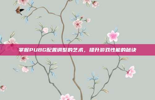 掌握PUBG配置调整的艺术,提升游戏性能的秘诀