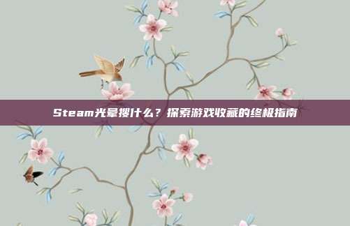 Steam光晕搜什么?探索游戏收藏的终极指南