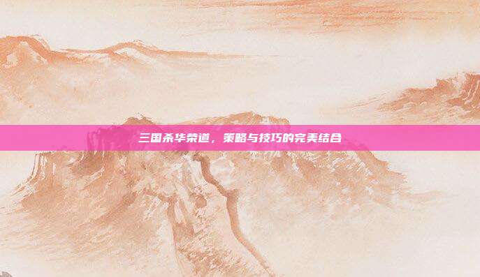 三国杀华荣道,策略与技巧的完美结合