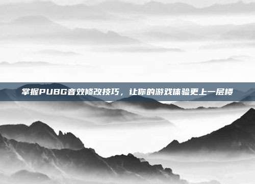 掌握PUBG音效修改技巧,让你的游戏体验更上一层楼