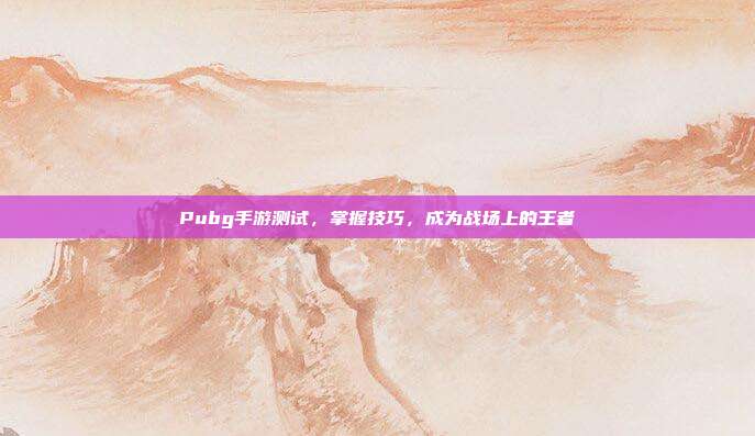Pubg手游测试,掌握技巧,成为战场上的王者